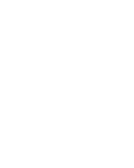 FEF logo